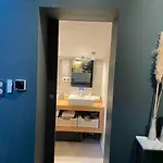 Loft Centre Situe Dans Rue Calme * Grenoble