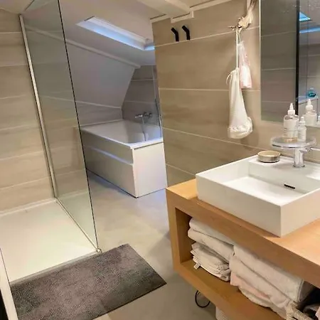 Loft Centre Situe Dans Rue Calme Гренобль
