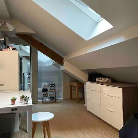 Loft Centre Situe Dans Rue Calme Апартаменти Гренобль
