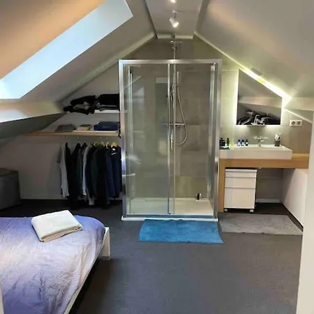 Loft Centre Situe Dans Rue Calme Гренобль