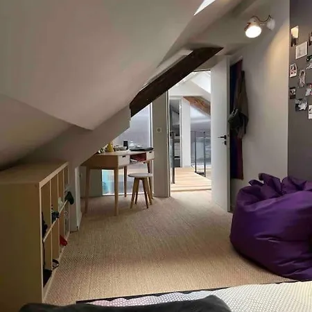 Loft Centre Situe Dans Rue Calme Апартаменти Гренобль