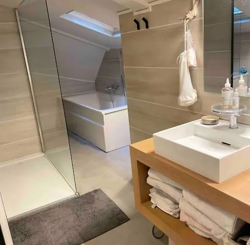 Loft Centre Situé Dans Rue Calme Grenoble