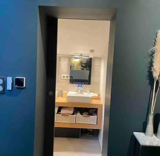 Loft Centre Situé Dans Rue Calme * Grenoble