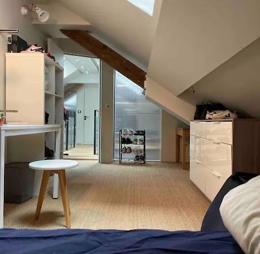 Loft Centre Situé Dans Rue Calme * Grenoble