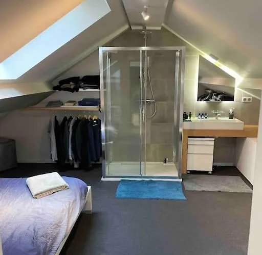 Loft Centre Situé Dans Rue Calme Grenoble