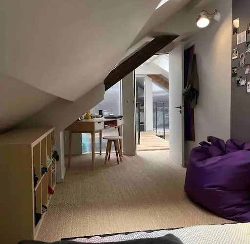 Loft Centre Situé Dans Rue Calme Appartamento Grenoble