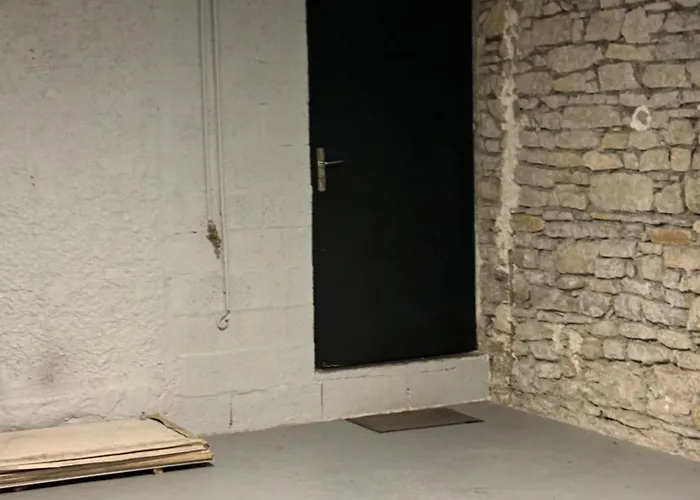 Appartamento Loft Centre Situé Dans Rue Calme Grenoble